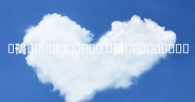 �鳵���޵ļ۸����� �鳵���޼۸����